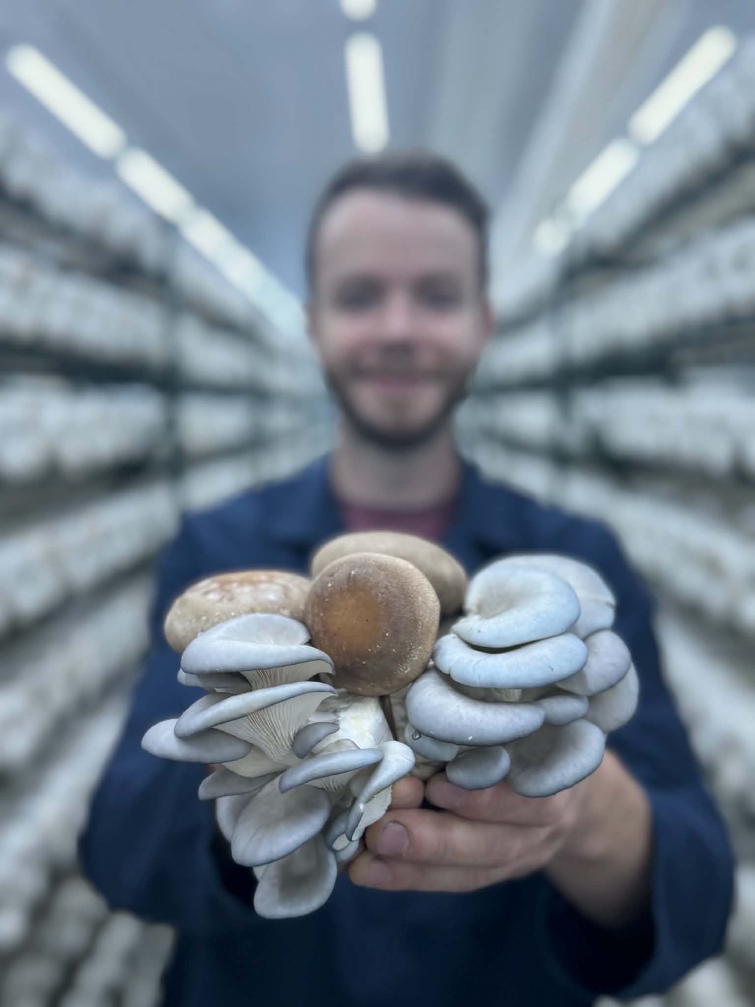 A Ceres grower holding fresh organic oyster and shiitake mushrooms