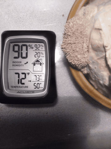 Early Ceres mushroom growing experiment in 2015