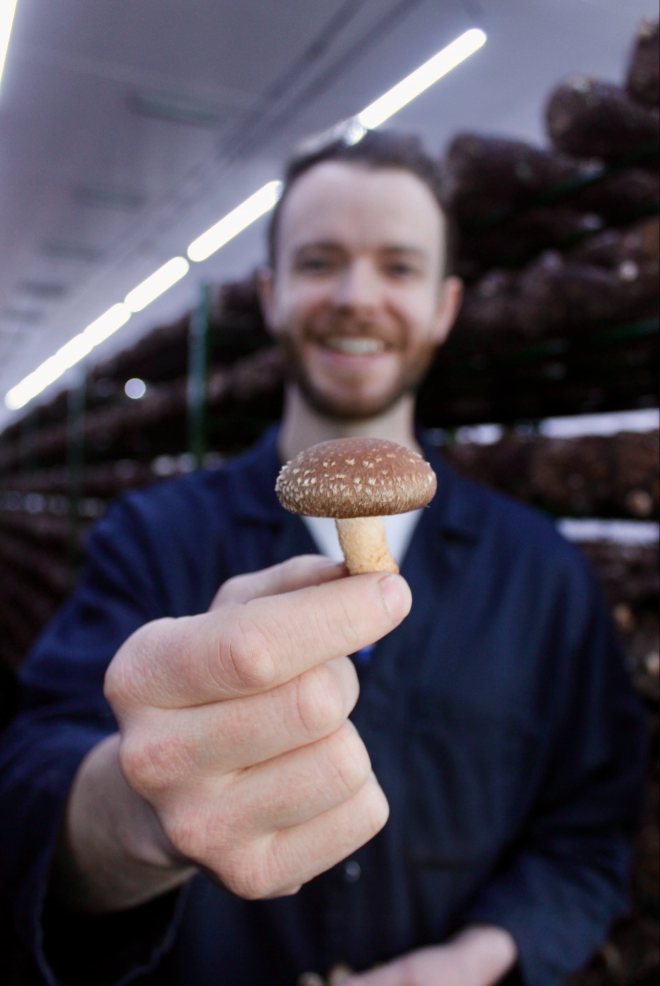 A Ceres grower holding a fresh shiitake mushroom in 2025